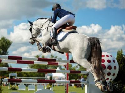 EQUESTRIAN NOMINATIONS OPEN!